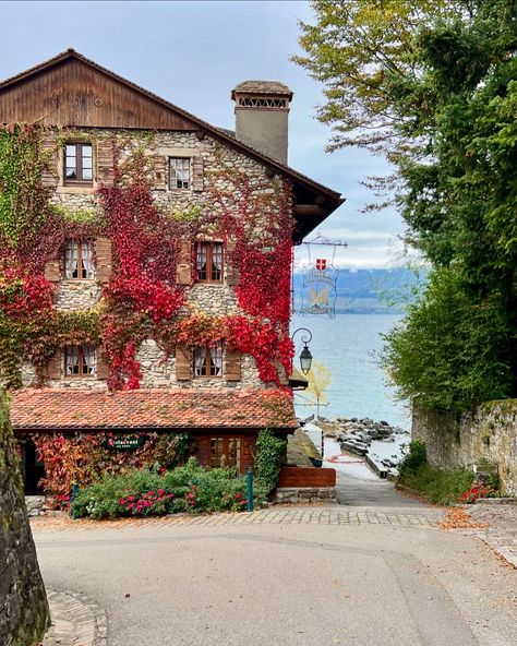 Yvoire, uma vila medieval considerada uma das mais belas da França 🇫🇷 Entrar em Yvoire é como recuar no tempo, com as suas ruas empedradas, edifícios medievais bem preservados e ruelas ladeadas de flores. 🌺 #yvoire #cidademedieval #citemedievale #eurotrip Vila Medieval