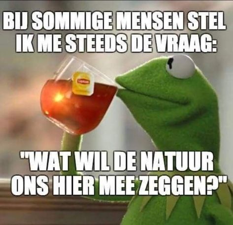 Tea Meme, Kermit Meme, Kermit Funny, Dutch Quotes, Laugh A Lot, Funny Couples, Work Quotes, The Frog, Friends Funny