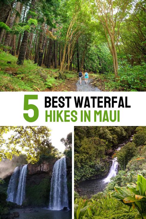 Discover the 5 best waterfall hikes in Maui! Explore lush trails leading to stunning cascades, from the famous Waimoku Falls to the hidden gem of Makamakaole Falls. Perfect for hikers seeking adventure and breathtaking scenery. Best Maui Hikes, Hiking In Maui, Maui Waterfalls, Twin Falls Maui, Maui Hikes, Hikes In Maui, Maui Travel Guide, Maui Itinerary, Breathtaking Scenery