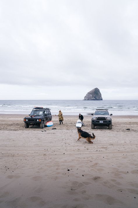 Surfing In Oregon, Oregon Coast Surfing, Cold Water Surfing, Pnw Surfing, Oregon Surfing, Winter Surfing, Canned Wine, Pnw Summer, Winter Surf