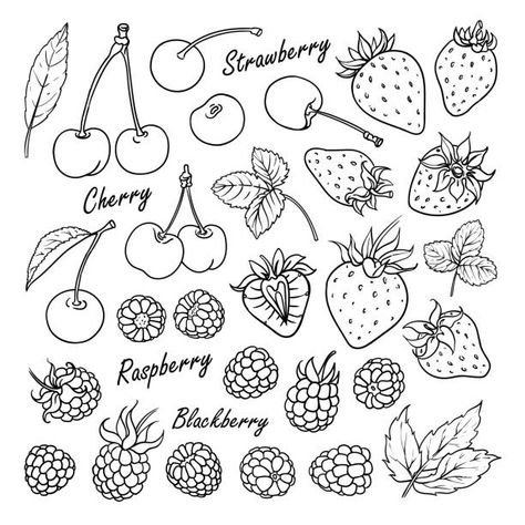 Strawberry Tattoo, Fruit Tattoo, Cherry Tattoos, Petit Tattoo, Cherry Strawberry, Posca Art, Cute Tiny Tattoos, Dainty Tattoos, Tattoo Flash Art