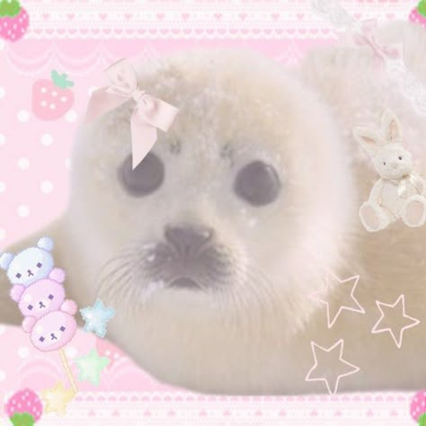 Seals Cute, Seal Icon, Cute Seals, Cut Animals, Shark Art, Baby Seal, Kawaii Core, Silly Cats Pictures, Kawaii Animals