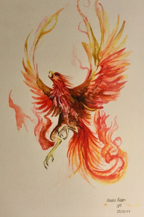 Phinex Fire Bird, Fire Bird Drawing, Phoenix Fire Tattoo, Fire Bird Tattoo, Red Phoenix Tattoo, Fire Phoenix Tattoo, Fire Watercolor, Phoenix Watercolor, Watercolor Phoenix Tattoo