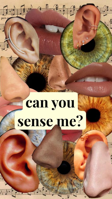 #music #aesthetic #senses <3 Senses Aesthetic, Cottagecore Aesthetic, Music Aesthetic, Connect With People, Your Aesthetic, Creative Energy, Ear Cuff, Energy, Music