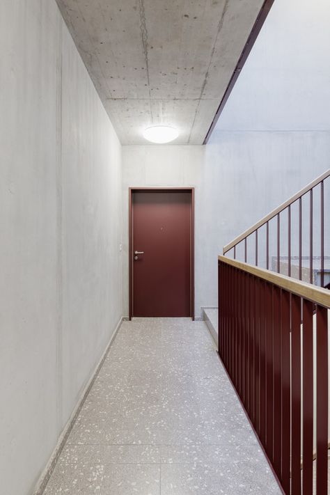 Gallery of “sue&til” – New City of Wood Housing / ARGE suetil + weberbrunner architekten ag + Soppelsa Architekten - 7 Stairs Architecture, Concrete Stairs, School Interior, Doors And Floors, Staircase Railings, Space Interiors, Workspace Design, Facade Architecture, Stair Railing