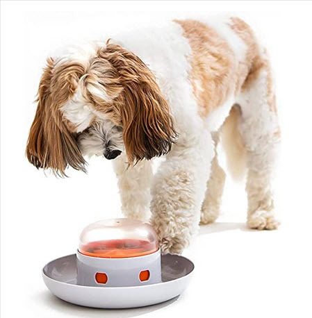 Patiently teach your pet this new skill of "push to dispense." Who says meal time can't be fun? A unique way to slow down the feeding habits of our fastest eaters! No holes for food to get trapped in. Simply wash like a bowl! Interaktives Design, Pet Food Dispenser, Dog Puzzle Toys, Treat Dispenser, Eating Fast, Dog Puzzles, Pet Sofa, Dog Feeder, Dog Biting