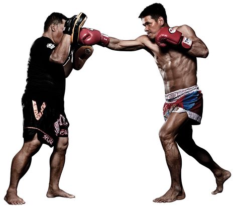 Muay Thai Drawing, Punch Pose, Event Outfit Ideas, Muay Thai Gym, Kickboxing Training, Boxing Techniques, Mma Gear, Mma Clothing, Mma Gloves