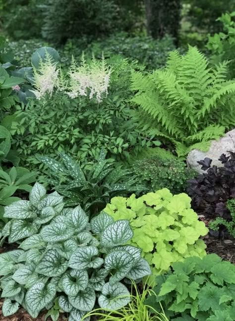 Texture example for shade_Susan Martin Shade Woodland Garden, Hosta Corner Garden, Sunny Plants Garden Ideas, Shade Bushes Perennials, Perennial Full Sun Garden Plans, Porch Border Landscaping, Lush Shade Garden, Shaded Cottage Garden, Foxtail Fern Landscaping Ideas