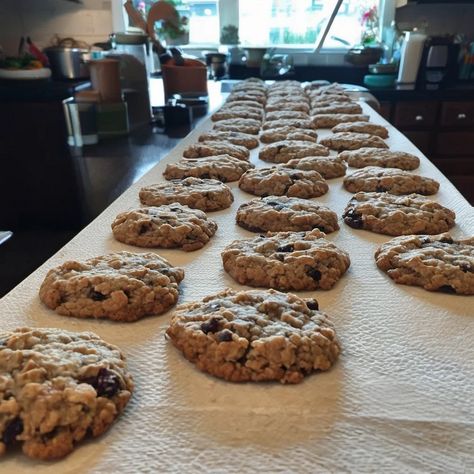 Baked Oatmeal Raisin Cookies Pioneer Woman Oatmeal Raisin Cookies, Oatmeal Raisin Cookies With Shortening, Thick And Chewy Oatmeal Raisin Cookies, Best Soft And Chewy Oatmeal Raisin Cookies, Jumbo Raisin Cookies, Raisin Oatmeal Cookies Chewy, Jumbo Oatmeal Raisin Cookies, Thick Oatmeal Raisin Cookies, Oatmeal Raisin Cookies With Molasses