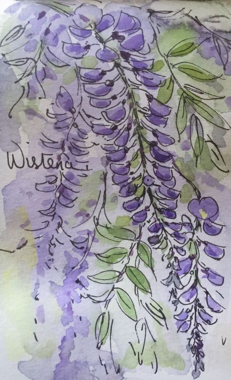 Wisteria Drawing Tutorial, Wisteria Tree Drawing, Wisteria Flower Drawing, Wisteria Drawing Simple, Wisteria Drawing, Wisteria Sketch, Bridgerton Painting Ideas, Bridgerton Drawing Ideas, Wisteria Doodle