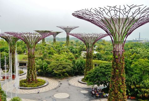 What Are Solar Trees? How Do They Work? Solar Tree, Community Farm, Non Renewable Energy, Solar Energy For Home, Solar Energy Facts, Green Marketing, Solar Punk, Urban Heat Island, Renewable Energy Systems