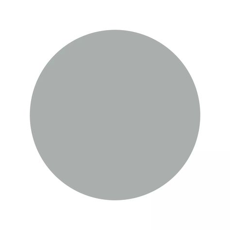 HEX: #a9afaf · RGB: 169, 175, 175 · HSL: 180, 4%, 67% · HSB (HSV): 180, 3%, 69% · CMYK: 17%, 14%, 14%, 20% · Silvered Ash · Soft Smoke · Twilight Grey Html Color Codes, Silver Ash, Hex Color Palette, Html Color, Hex Colors, Color Code, Color Palette, Ash, Grey