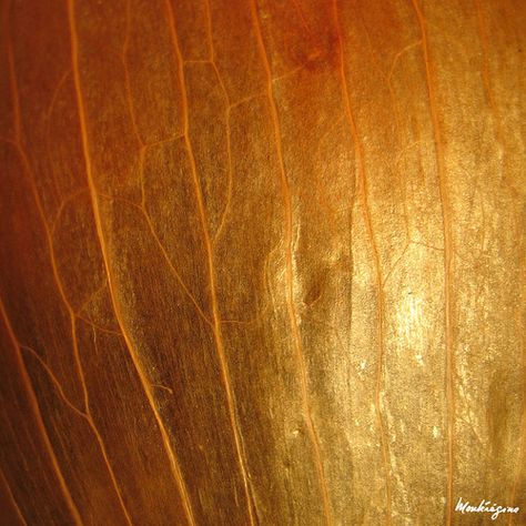 Pelure d'oignon - Onion Skin by monteregina, via Flickr Onion Texture, Onion Skin, Photo Texture, Short Words, Aesthetic Photo, Onions, Art Ideas, Dj, Texture