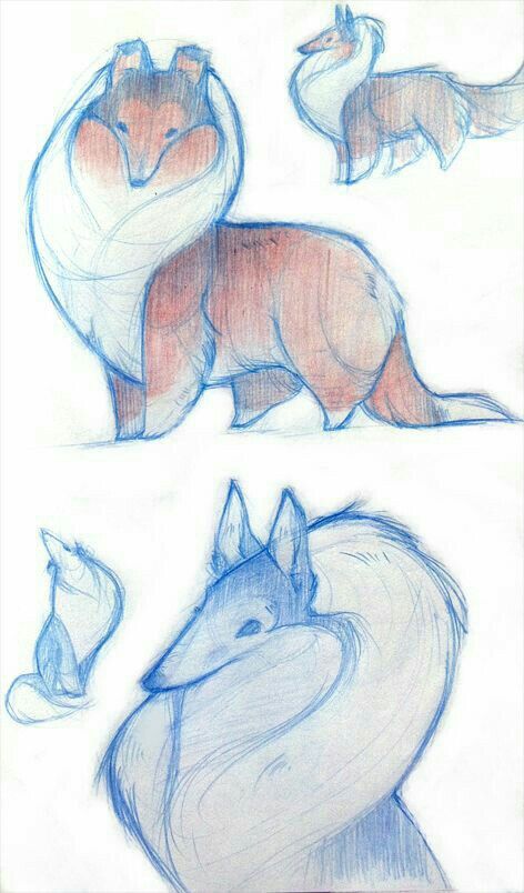 Canine Art, Different Animals, Animal Sketches, Dessin Adorable, Dog Drawing, Drawing Stuff, 영감을 주는 캐릭터, Cute Animal Drawings, Creature Art