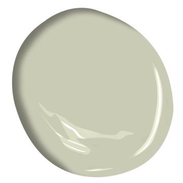 Soft Fern 2144-40 Benjamin Moore Soft Fern, Aganthus Green, Cream Paint Colors, Exterior Gray Paint, Green Grey Paint, Bungalow Interior, Benjamin Moore Gray, Cream Paint, Blue Paint Colors