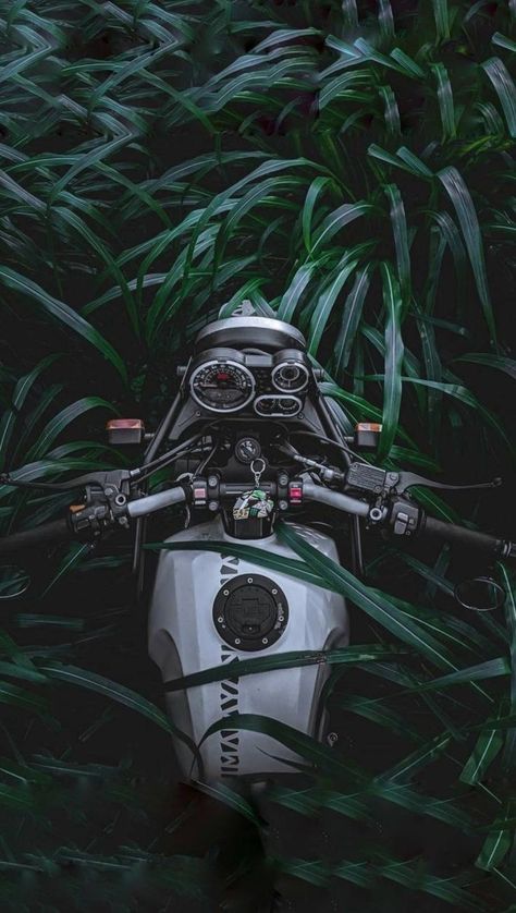 Action Illustration, Royal Enfield Hd Wallpapers, Himalayan Royal Enfield, Royal Enfield Wallpapers, Wallpaper Website, Mustang Wallpaper, Enfield Himalayan, Bike Sketch, Qhd Wallpaper