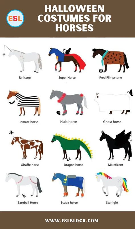 Diy Horse Halloween Costumes, White Horse Halloween Costumes, Horse Costumes Ideas, Halloween Costumes Horse And Rider, Costumes For You And Your Horse, Halloween Costumes For You And Your Horse, Paint Horse Halloween Costumes, Halloween Costumes With Horses, Horse Halloween Costumes Equestrian