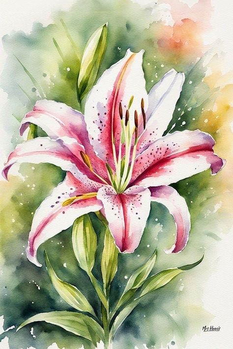 Lilies Watercolor Painting, Stargazer Lily Watercolor, Watercolour Flowers Painting, Lily Flower Watercolor, Different Art Mediums, Daisy Picture, Watercolor Lilies, Watercolor Lily, Lily Watercolor