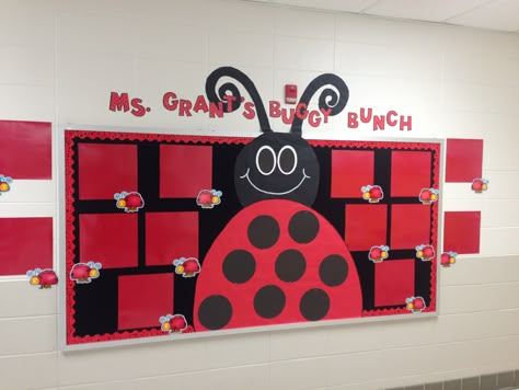 Bulletin board to display the students work. Still in need of her two legs hanging down and a few touch ups. Classroom Ladybug Theme, Red Bulletin Board Ideas, Ladybug Bulletin Board Ideas, Ladybug Classroom Door, Bug Bulletin Board Ideas, Ladybird Decoration, Ladybug Classroom Theme, Ladybug Bulletin Boards, Red Classroom Theme