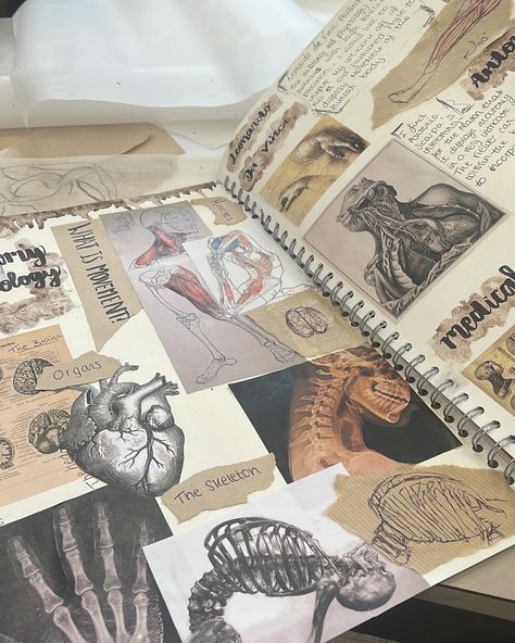 Gcse Art Project Ideas, Moodboard Art Sketchbook, Mood Board Inspiration Art, Art Moodboard Ideas, Gcse Art Sketchbook Layout A3, Layered Sketchbook Pages, Sketchbook Ideas Graphic Design, Art Sketchbook Moodboard, Gcse Art Projects