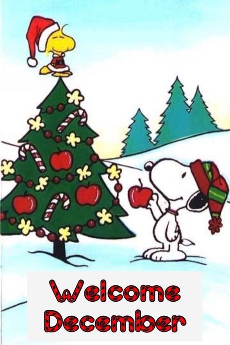 Hello December Images, Imprimibles Halloween, Welcome December, A Charlie Brown Christmas, Woodstock Snoopy, Woodstock Peanuts, Peanuts Charlie Brown Snoopy, Snoopy Cartoon, Christmas Memes