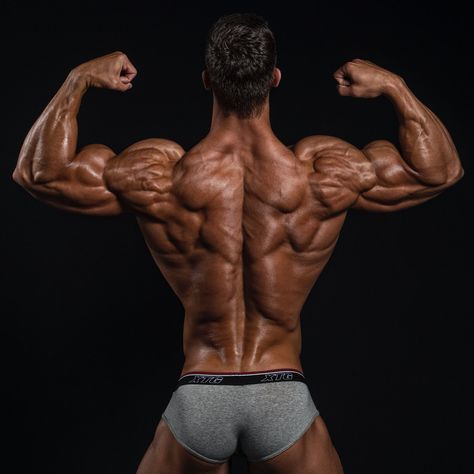 Muscular Back Reference, Muscular Back, Bodybuilders Men, Natural Bodybuilding, Body Builder, Men's Muscle, Back Muscles, Male Physique, Workout Guide