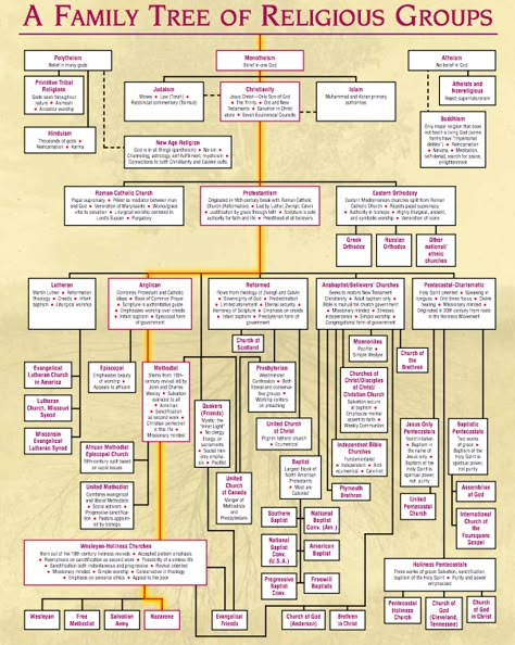 Sent to me by a friend, Yes, that yellow line will lead you to my friend’s denomination. Bible Family Tree, God Ideas, Bible Genealogy, Family History Quotes, Bible Timeline, Revelation Bible, Bible Mapping, Trendy Family, Bible Study Topics