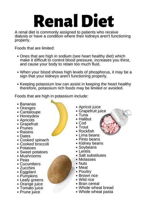 Kidney Diet Food Lists, Diet Infographic, Foods Good For Kidneys, Kidney Healthy Foods, Kidney Friendly Recipes Renal Diet, Food For Kidney Health, Kidney Friendly Diet, Potassium Foods, Renal Diet Recipes