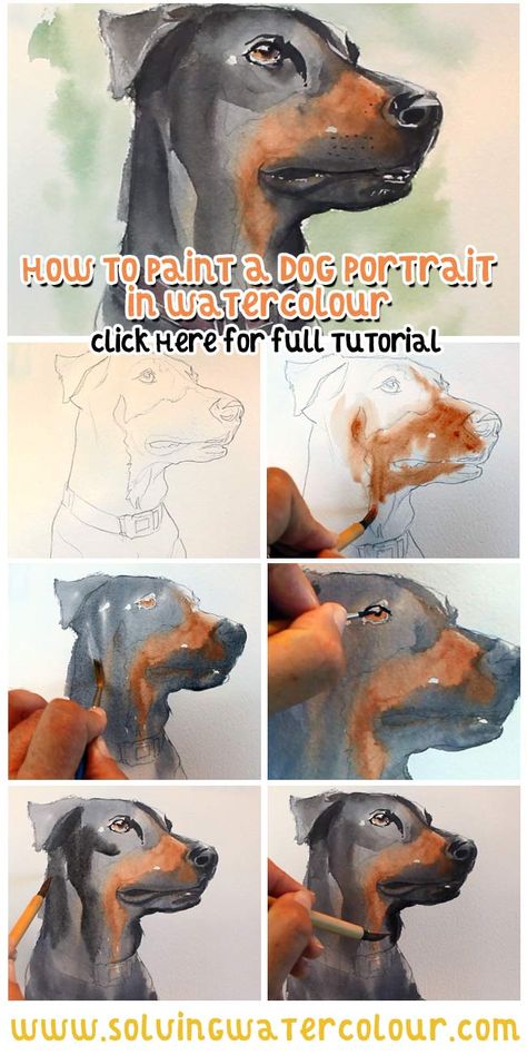 watercolor dog tutorial Watercolour Tips, Painting Clipart, Watercolor Puppy, Dogs Watercolor, Painting Basics, Pet Watercolor, Watercolor Dogs, Dog Watercolor Painting, Watercolour Techniques