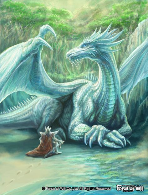 Dragon Artwork Fantasy, Cool Dragons, Fairy Dragon, Mythical Animal, Beautiful Dragon, Mythical Beast, Dragon Pictures, White Dragon, Dragon Artwork