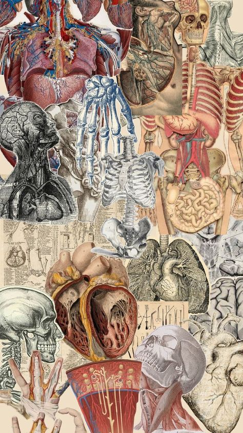 .. Vintage Medical Art, Medical Artwork, Medical Drawings, Close Up Art, Ap Drawing, Medical School Life, Medical Wallpaper, Human Body Anatomy, Medical School Motivation