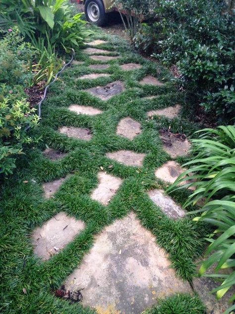 Garden path with mondo grass. Mondo Grass Ideas Garden Paths, Grass Path, Stone Walkways, Rock Path, Garden Stepping Stones, Stone Walkway, Garden Walkway, Stone Path, Garden Images