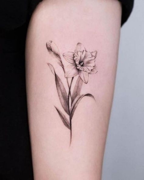 Narcissus Flower Tattoo Realism, Narccicus Flower Drawing, Forearm Daffodil Tattoo, Defodiles Flower Tattoo, Narcissus And Snowdrop Flower Tattoo, Violet Daffodil Tattoo, Southern Flower Tattoo, January And April Flower Tattoo, Narcissus And Daffodil Flower Tattoo