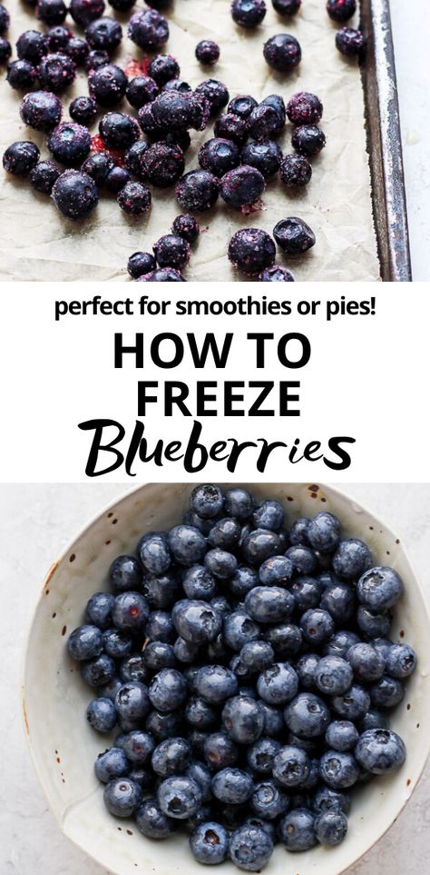 How to Freeze Blueberries - save this one for future reference! Save money by buying or picking blueberries in season and freezing them! Perfect for smoothies or pie! #howtofreezeblueberries #frozenblueberries #smoothierecipes #freezeblueberries #blueberries #blueberryrecipes Freezing Blueberries, How To Freeze Blueberries, Freeze Blueberries, Picking Blueberries, Wooden Skillet, Freezer Burn, Easy Smoothie Recipes, Blueberry Recipes, Berry Smoothie