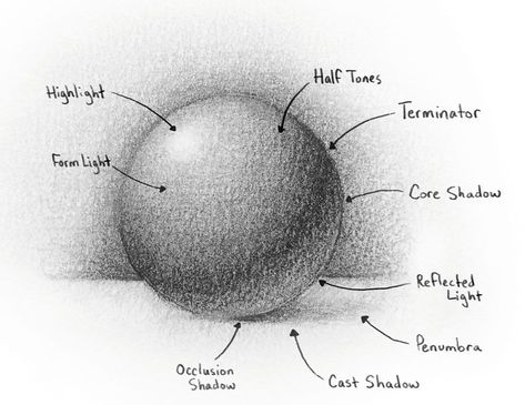 Pencil shading techniques: 5 expert tips | Creative Bloq Pencil Shading Techniques, Best Pencil, Shading Techniques, How To Shade, Pencil Shading, Create Drawing, Drawing Exercises, Still Life Drawing, Drawing For Beginners