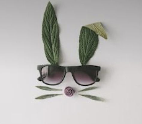 Sunglass Photography, Eyewear Photography, Eyewear Store Design, Rabbit Face, Fashion Eye Glasses, Flat Lay Photography, Foto Art, April Fools, Photography Projects