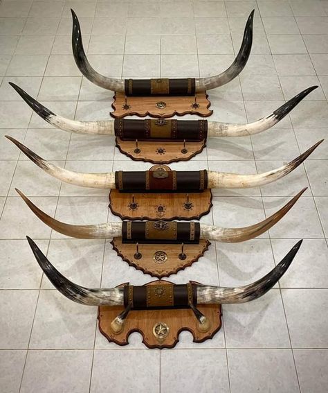 Texas Long Horn, Motocykle Harley Davidson, Animal Horns, Powder Horn, Long Horn, Bull Head, Wooden Plaques, Taxidermy, Harley Davidson