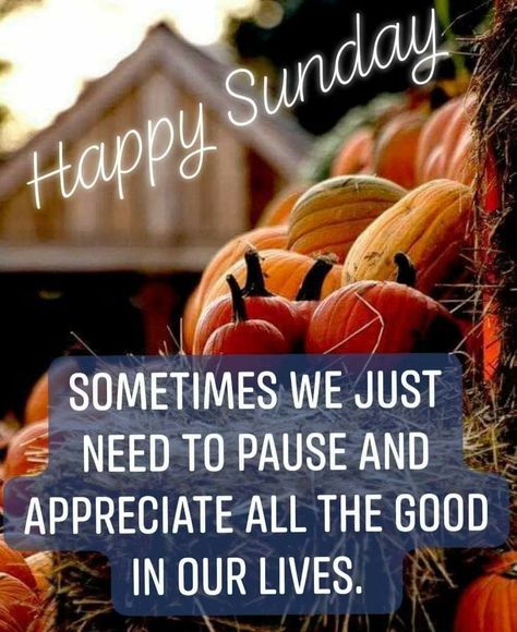 Sunday Fall Quotes, Sending Positive Energy, Last Sunday Of The Month, Happy Sunday Messages, Sunday Fall, Saturday Morning Quotes, Happy Sunday Morning, Sunday Morning Quotes, Bread Of Life