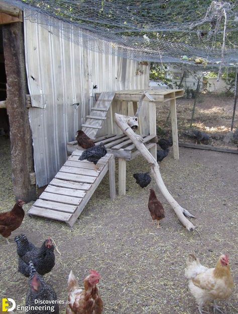 53+ Ideas For Having Chicken Coops In Your Backyard | Engineering Discoveries 53+ Ideas For Having Chicken Coops In Your Backyard Easy Diy Chicken Feeder, Diy Chicken House, Chicken House Diy, Coop Ideas Chicken, Chicken House Plans, Chicken House Ideas, Garden House Ideas, Chicken Coop Diy, Urban Chicken Farming