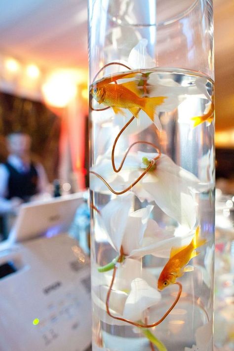 cruel to the fish but I like the idea if I could get a giant aquarium so they'd be comfortable for the center piece... Fish Wedding Centerpieces, Goldfish Centerpiece, Styling Candles, Fish Centerpiece, Fish Wedding, Fishing Themed Wedding, Pillar Vases, Aquarium Wedding, Fishing Wedding