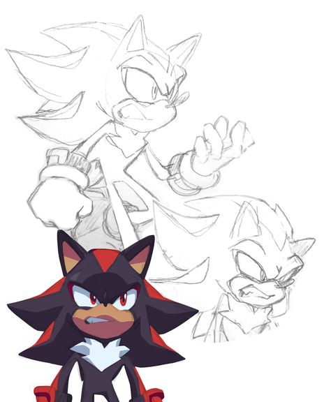 Shadow Drawings, How To Draw Shadow, Sonic Drawing, How To Draw Sonic, Hedgehog Drawing, Shadow Sonic, Shadow And Amy, Sonic Characters, Blue Hedgehog