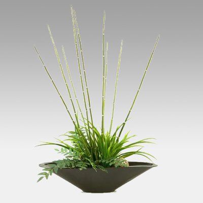 Horsetail Reed and Grass in Oblong Metal Planter | www.hayneedle.com Horsetail Reed, Metal Planters, Premium Bedding, Bed Blanket, Velvet, Bed, Plants