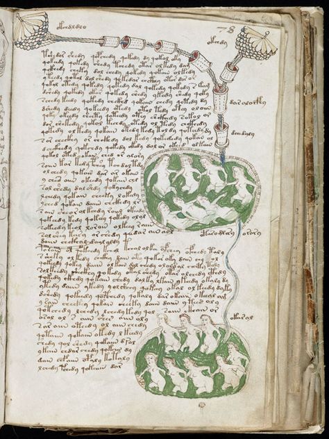 Voynich Manuscript, Ancient Writing, Occult Books, Illuminated Manuscript, Old Books, Colorful Drawings, Rare Books, Internet Archive, Book Lovers