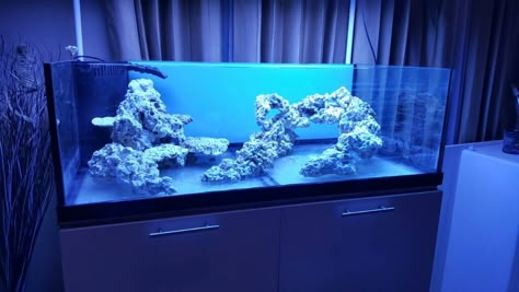 Click this image to show the full-size version. 100 Gallon Saltwater Aquarium, Aquascape Saltwater, Reef Tank Design, Reef Aquascaping, Reef Tank Aquascaping, Saltwater Aquarium Setup, Aquarium Sump, Aquascaping Ideas, Aquascape Ideas