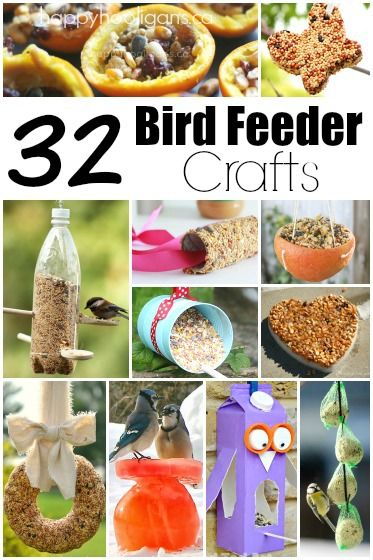 32 Easy Homemade Bird Feeders - Happy Hooligans Bird Feeder Crafts, Bird Feeders For Kids To Make, Bird Feeder Craft, Happy Hooligans, Easy Bird, Homemade Bird Feeders, Theme Nature, Diy Bird Feeder, Diy Birds