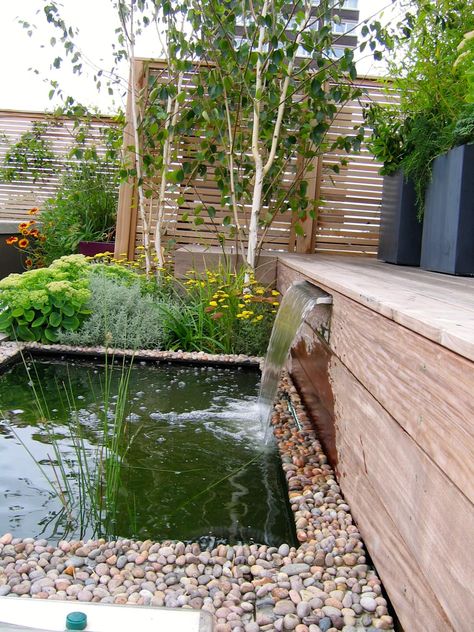 Small water fountain pond and rock garden by GreenlinesDesign Ltd Small Garden Pond Design, Terrace With Jacuzzi, Ponds Ideas, Pond Rocks, Bridge Ideas, Penthouse Terrace, Small Water Fountain, Ponds For Small Gardens, Contemporary Gardens