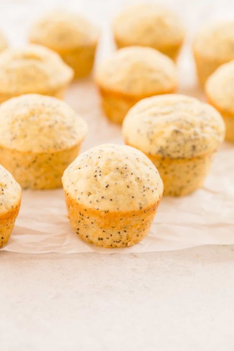 Lemon Poppyseed Mini Muffins, Mini Baked Goods Ideas, Popover Recipes, Almond Poppy Seed Muffins, Almond Poppyseed Muffins, Health Dessert Recipes, Seed Loaf, Mini Muffin Recipe, Poppyseed Muffins