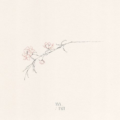 Plum Flower Tattoo, Plum Tree Tattoo, Cherry Blossom Branches Tattoo, Plum Tattoo, Plum Blossoms Tattoo, Korean National Flower Tattoo, Plum Blossom Tattoo, Plum Blossom Drawing, Plum Blossom Watercolor