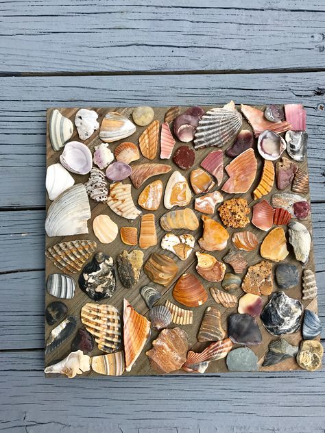 Broken shell collage I made at Topsail Island Broken Shells Ideas, Broken Shell Crafts, Seashells Projects, Shell Collage, Seashell Ideas, Beach Activity, Seashell Art Diy, Beach Craft, Shell Yeah