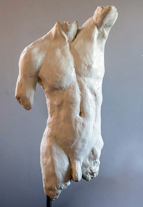 Male Artworks, Human Anatomy Reference, Sculpture Marble, Van Niekerk, Traditional Sculptures, Anatomy Sculpture, Sculpture Art Clay, Male Torso, Sculptures Céramiques